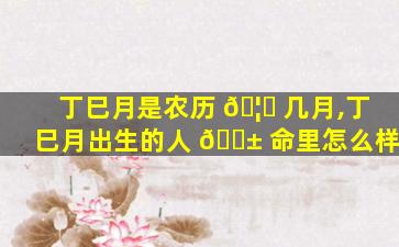 丁巳月是农历 🦁 几月,丁巳月出生的人 🐱 命里怎么样